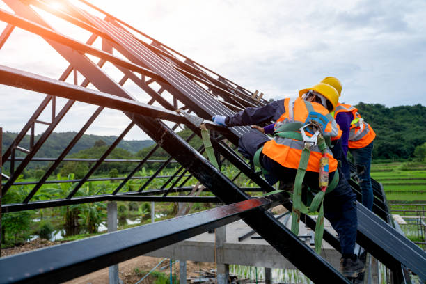 Best Roof Gutter Cleaning  in New Haven, MI