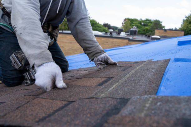 Best New Roof Installation  in New Haven, MI