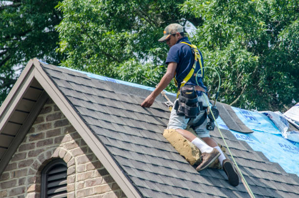 Best Roof Maintenance Services  in New Haven, MI